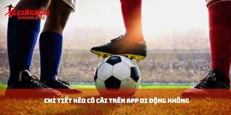 Chi tiết kèo có cài trên app di động không 