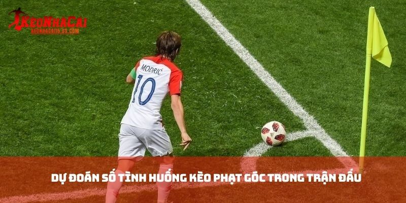 Dự đoán số tình huống kèo phạt góc trong trận đấu